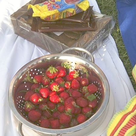 Midsummer_strawberries_opt