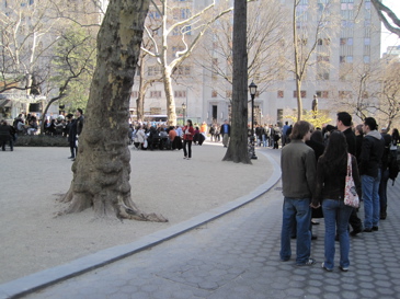 The line at the Shake Shack in Madison Square Park