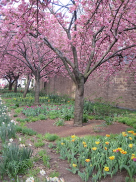 NYU's garden on Bleecker Street